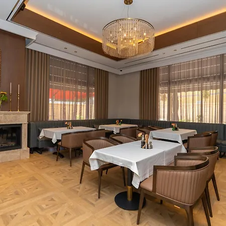 Mozart 4* Szkodra