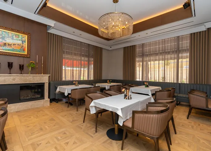 Mozart 4* شكودر